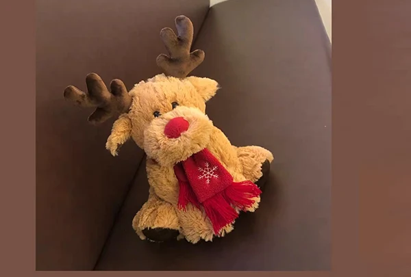 Maintenance des jouets en peluche